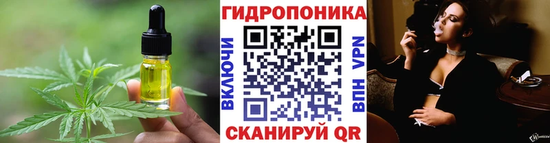 Canna-Cookies конопля  Купить закладки  Сертолово 