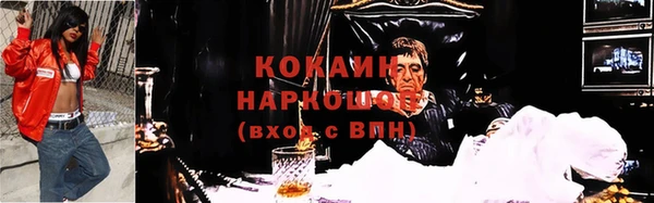 гидра Кодинск