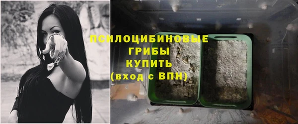 ALPHA PVP Киренск