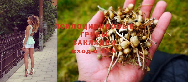 скорость Киреевск